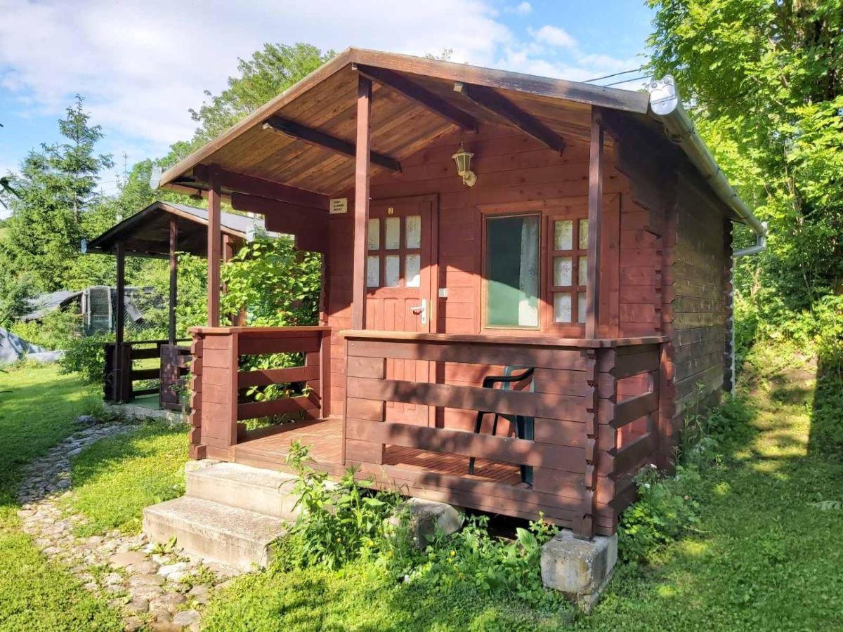 Bungalow Camping Edelweiss - Floare De Colt - Gyopar Rimetea Dış mekan fotoğraf