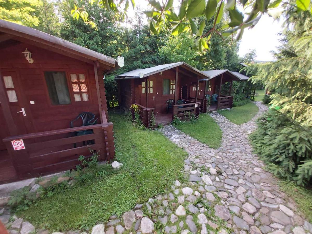 Bungalow Camping Edelweiss - Floare De Colt - Gyopar Rimetea Dış mekan fotoğraf