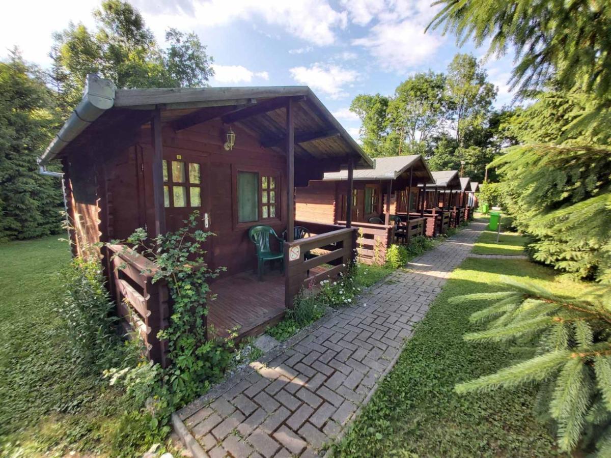 Bungalow Camping Edelweiss - Floare De Colt - Gyopar Rimetea Dış mekan fotoğraf