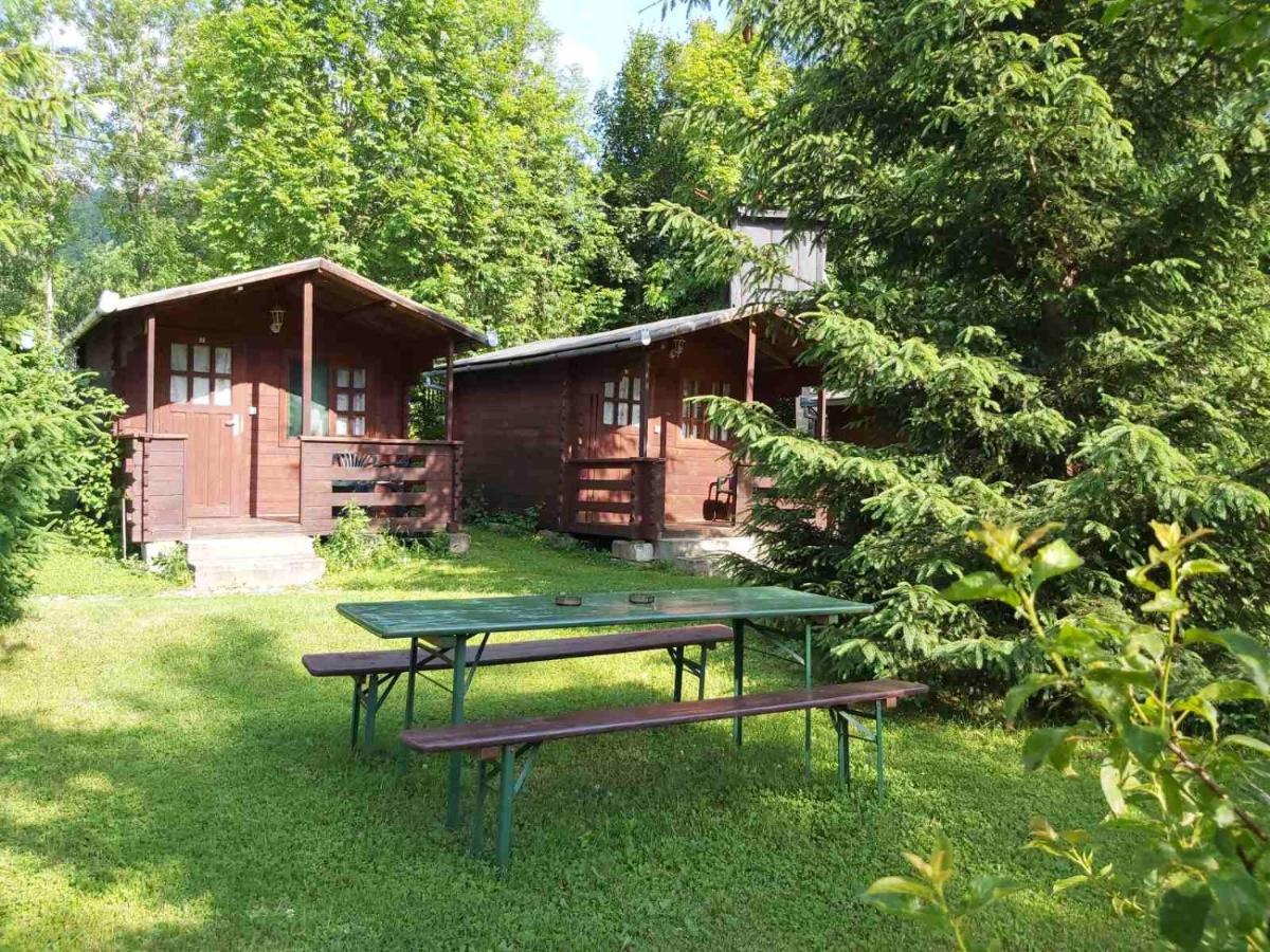 Bungalow Camping Edelweiss - Floare De Colt - Gyopar Rimetea Dış mekan fotoğraf