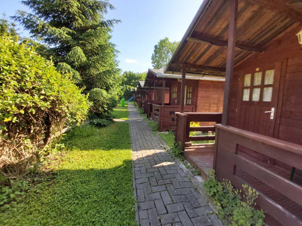 Bungalow Camping Edelweiss - Floare De Colt - Gyopar Rimetea Dış mekan fotoğraf