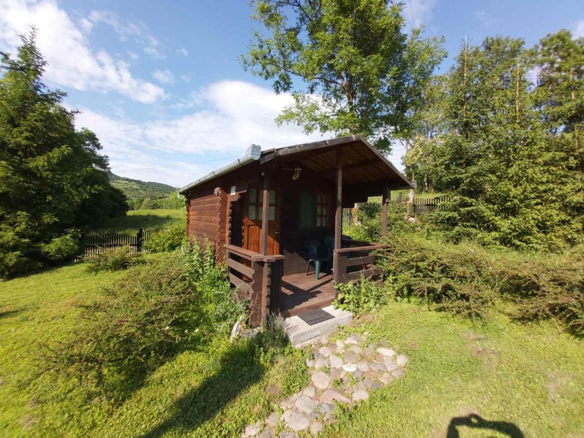 Bungalow Camping Edelweiss - Floare De Colt - Gyopar Rimetea Dış mekan fotoğraf