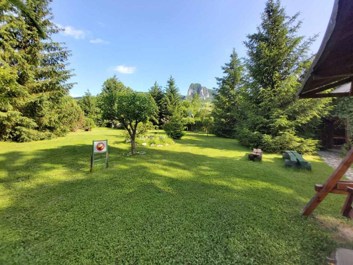 Bungalow Camping Edelweiss - Floare De Colt - Gyopar Rimetea Dış mekan fotoğraf