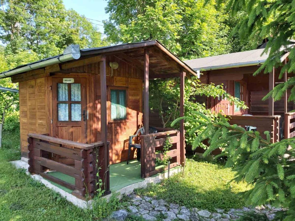 Bungalow Camping Edelweiss - Floare De Colt - Gyopar Rimetea Dış mekan fotoğraf